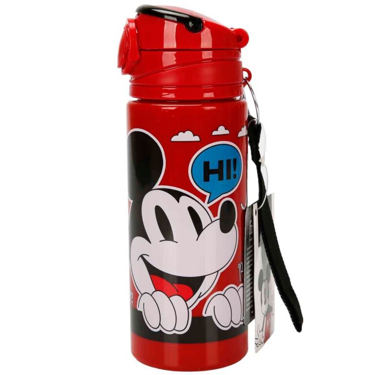 adel disney mickey picnic matara suluk 45478 523088.jpg