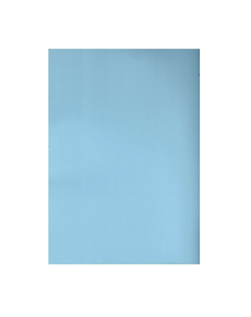 alex schoeller fon kartonu 25x35 no 08 havai mavi 100 lu 485390.png