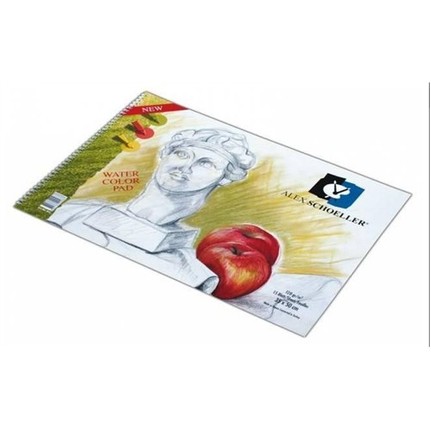 alex schoeller spiralli cok amacli resim defteri 35x50 cm 120 gr 15 yaprak 147076.jpg