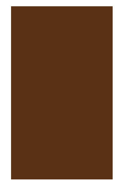 canson dokulu fon kartonu kahverengi mi teintes 50x65cm 160 gram brown 340 10 lu paket 408623.jpg