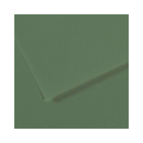 Canson Dokulu Fon Kartonu Mi-Teintes Sh Canmt 50X65Cm 160 Gram Grn Sage Yeşil 190 31032S128 (10 Lu Paket)