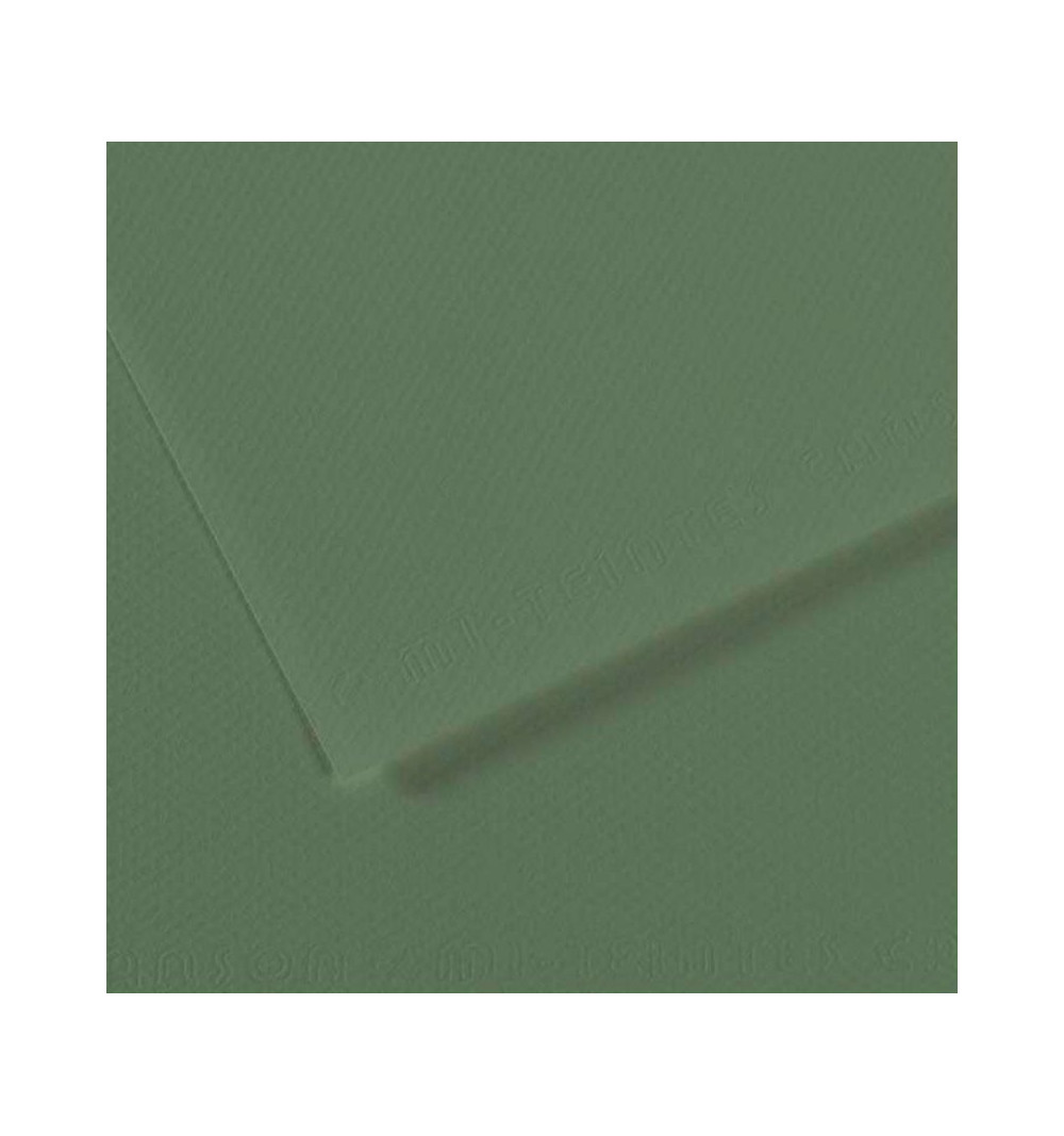 canson fon kartonu dokulu mi teintes sh canmt 50x65 160 gr grn 190 434355.jpg canson fon kartonu dokulu mi teintes sh canmt 50x65 160 gr grn 190 434355.jpg