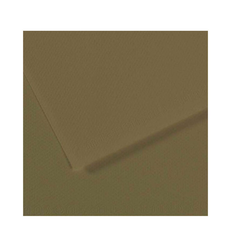 canson fon kartonu dokulu mi teintes sh canmt 50x65 160 gr grn 191 434356.jpg