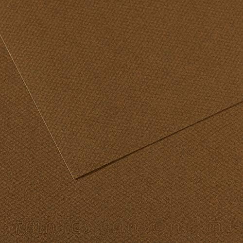 canson fon kartonu dokulu mi teintes sh canmt 50x65cm 160g brown 501 31033s122 10 lu paket 515006.jpg