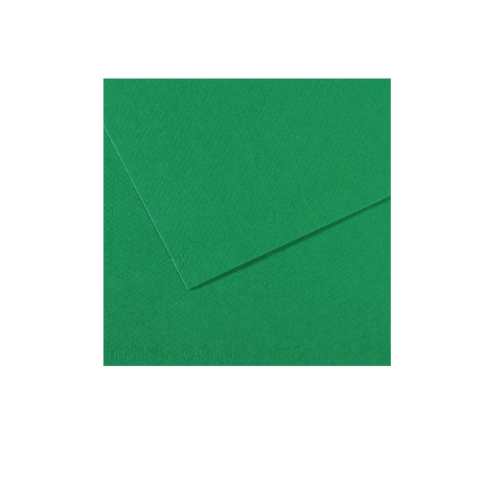 Canson Mi-Teıntes Dokulu Fon Kartonu Sh Canmt 50X65 160 Gram Green 575 31032S114 (10 Lu Paket)