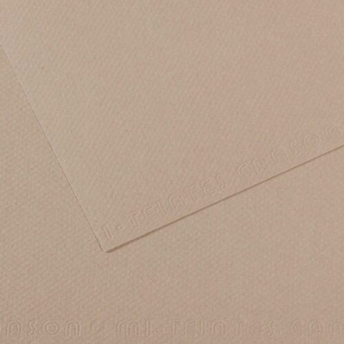 Canson Sh Canmt 50x65Cm 160 Gram Pastel Dokulu Fon Kartonu Grey 122 31032S095 (10 Lu Paket)