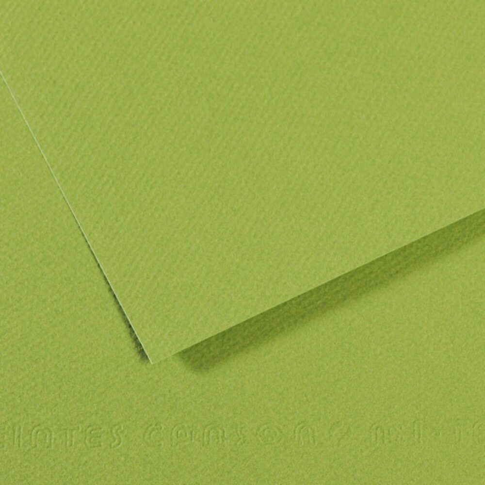 canson sh canmt 50x65cm 160 gram pastel dokulu fon kartonu grn 475 31032s106 10 lu paket 425720.jpg canson sh canmt 50x65cm 160 gram pastel dokulu fon kartonu grn 475 31032s106 10 lu paket 425720.jpg