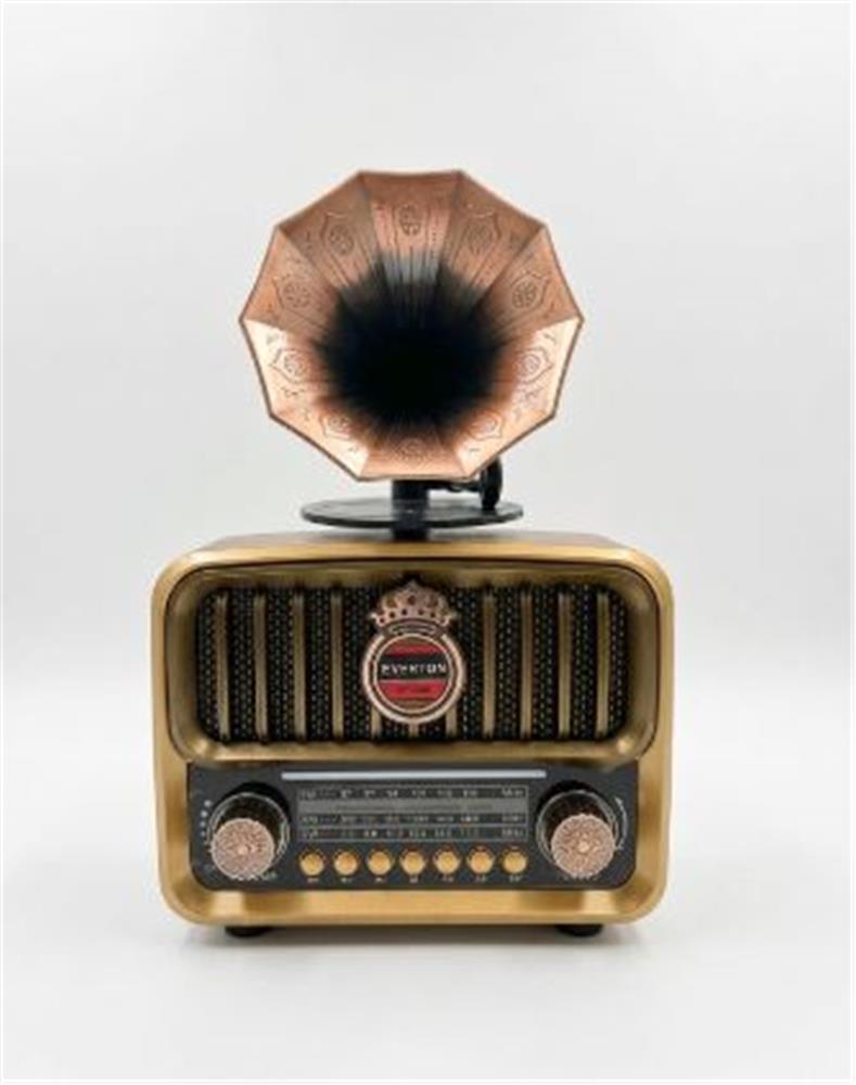 everton rt 606 gramofonlu sarjli nostaljik radyo bluetooth usb sd fm 512803.jpg everton rt 606 gramofonlu sarjli nostaljik radyo bluetooth usb sd fm 512803.jpg