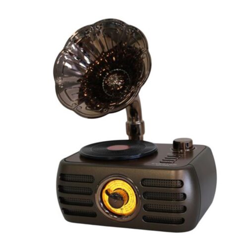Everton Rt-704 Gramafon Görünümlü Bluetooth Fm-Usb-Tf-Aux Şarjlı Nostaljik Radyo