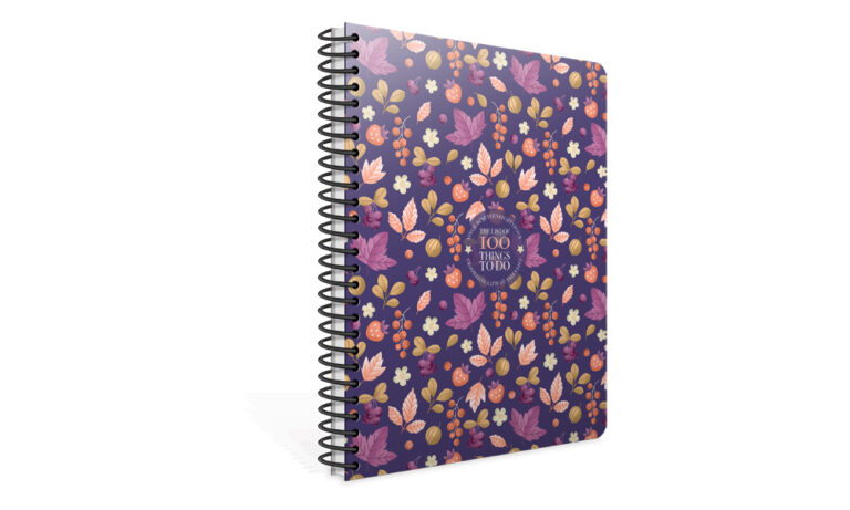 gipta 100 things spiralli sert kapak defter 19x26cm 100 yaprak cizgili 2 li paket 3901 319608.jpg