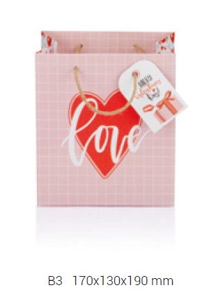 gipta valentines day b3 caritas karton canta hediye cantasi 170x130x190 mm 32 li paket bg9735 321877.jpg gipta valentines day b3 caritas karton canta hediye cantasi 170x130x190 mm 32 li paket bg9735 321877.jpg