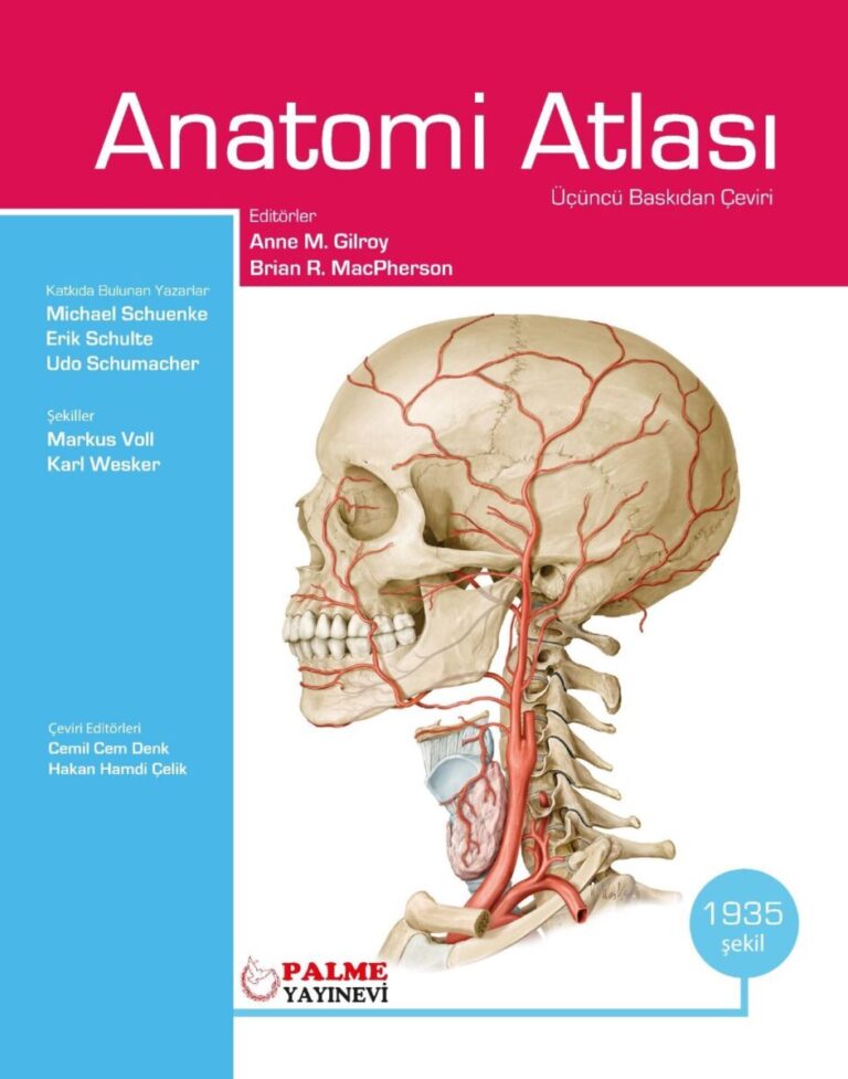 palme yayinevi anatomi atlasi anne m gilroy 507238.jpg