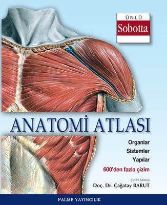 palme yayinevi anatomi atlasi unlu sobotta cizimleri yeni 506746.jpg