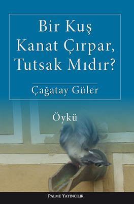 palme yayinevi bir kus kanat cirpar tutsak midir 506848.jpg