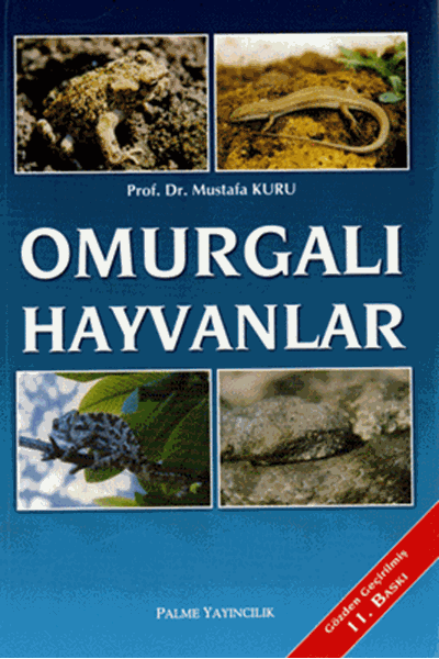 palme yayinevi omurgali hayvanlar 506397.png