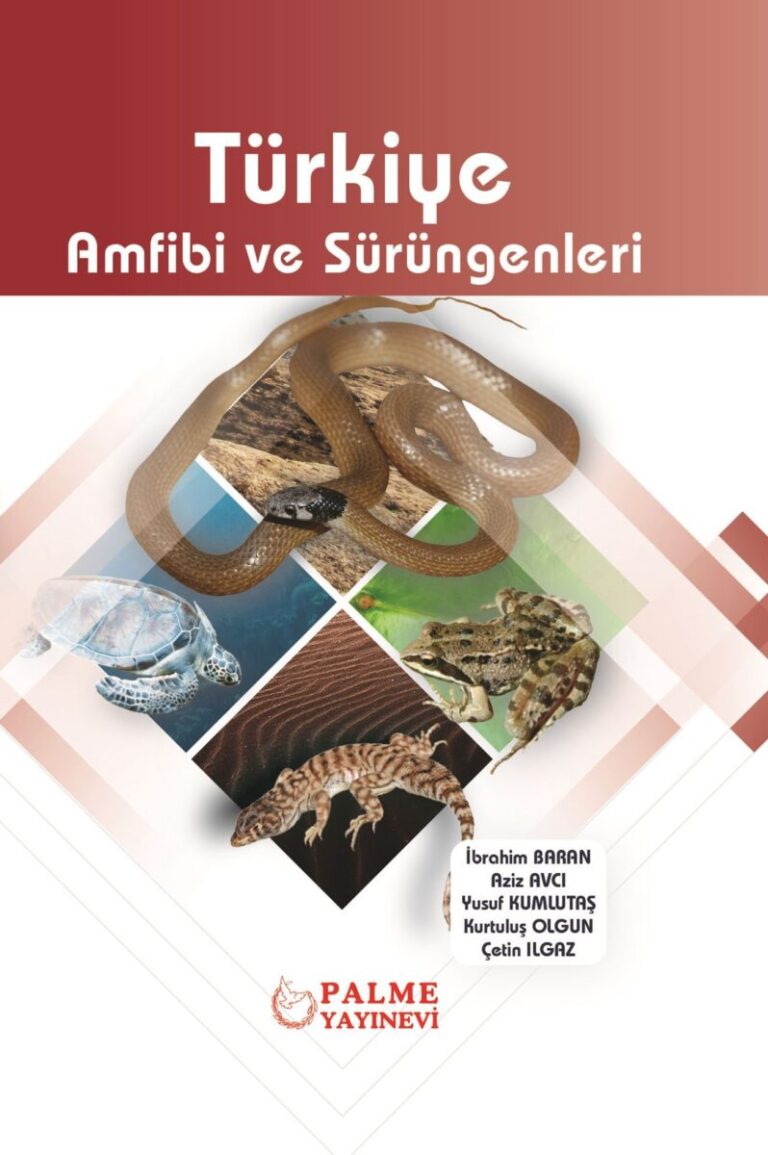 palme yayinevi turkiye amfibi ve surungenleri 507080.jpg