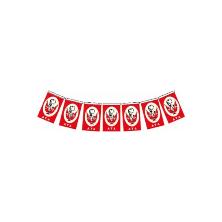 vatan orta boy ipli kagit ataturklu bayrak 12x8cm 50 li vt808 163762.jpg