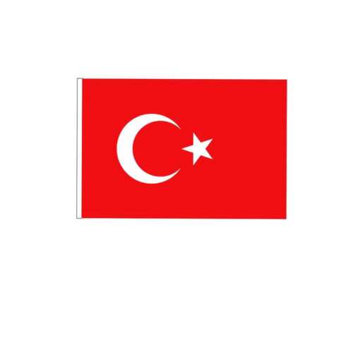 Vatan Polyester Bayrak 70X105 Cm