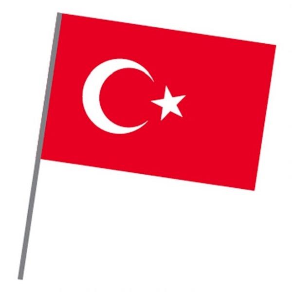 vatan sopali turk bayragi 20x30 cm 10 lu vt225 248804.jpg